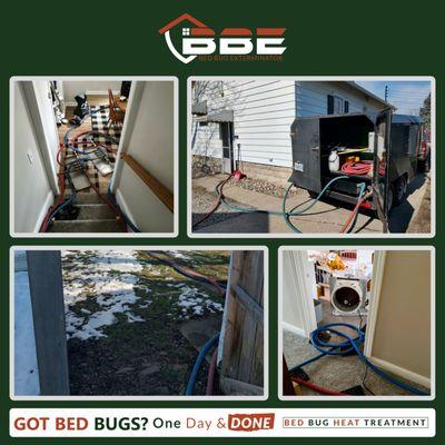 Michigan Bed Bug Treatment