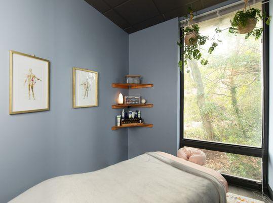 With serene blue walls, a floor-to-ceiling window with wildlife visitors, you will feel an escape during your next massage therapy session.