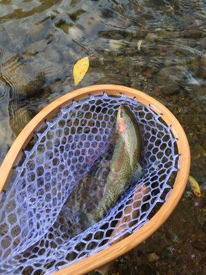 Roaring Fork Nets