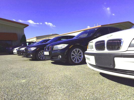 Specializing in BMW, Mercedes and Mini Cooper!