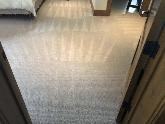 I love clean carpet (after)