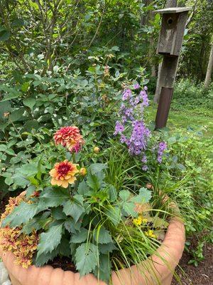 So many flowers and herbs to look at and enjoy.