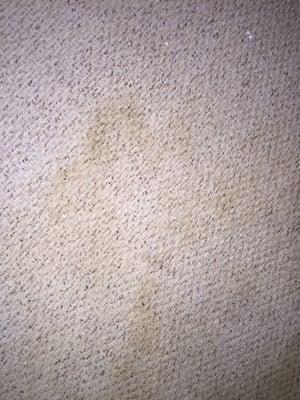 EW  says these stains from water damage and the bad smell do not exist and won't replace carpet. They do and are unacceptable.