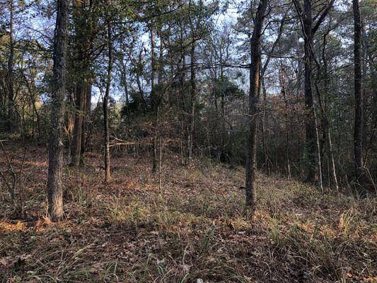 East Texas Commercial/Residential Lot For Sale