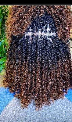 Starter sister locs