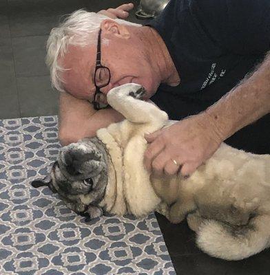 Brian and Mr. Pug, our Senior rescue (The pug, not Brian! Ha Ha!)