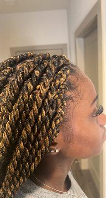 Senegalese twist