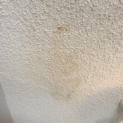 So gross !!! Marks from my ceiling leaking