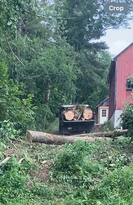 Tree removal service in Henniker New Hampshire.