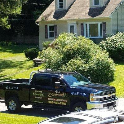 Carmines Lawn and Landscaping