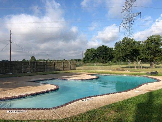 the only Bear shaped pool in DFW area