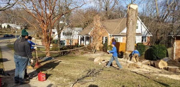 MERINO LANDSCAPING & TREE SERVICE