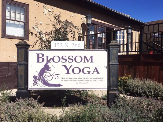 Blossom Yoga Studio