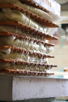 Apple pressing day