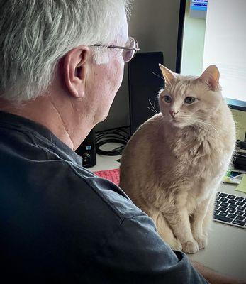 My boy Bode watching me work on the computer!  :)