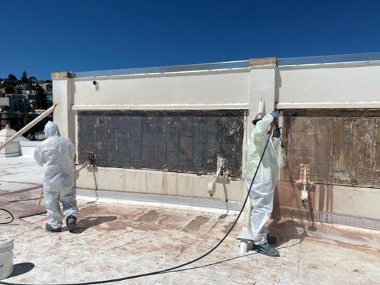 lead paint removal