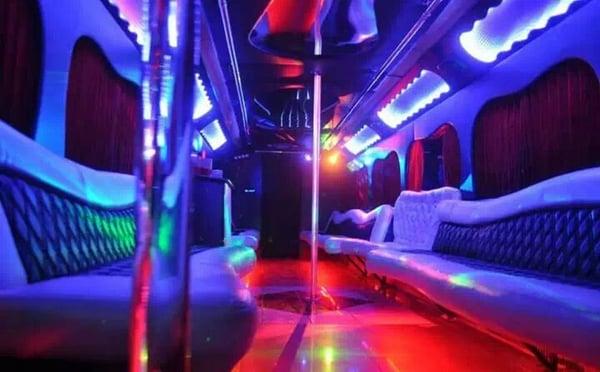 47 passenger party bus