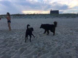 We love the beach!