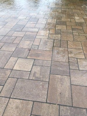 Paver driveway