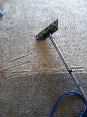 A carpet in the process of being cleaned