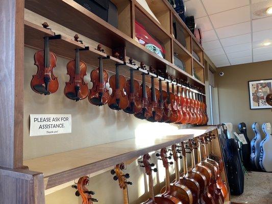 Range of sizes of violins