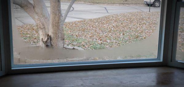 This shows the moisture that is building up on the edges of the windows, it is so wet that it is running down onto the wood and soaking  in.