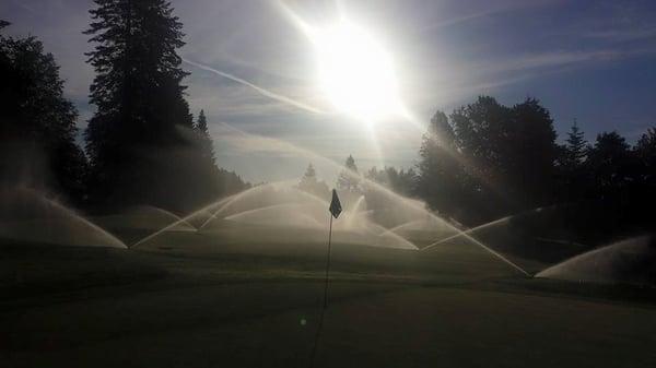 Early morning watering