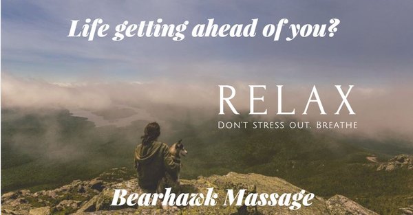 bearhawkmassage.amtamembers.com