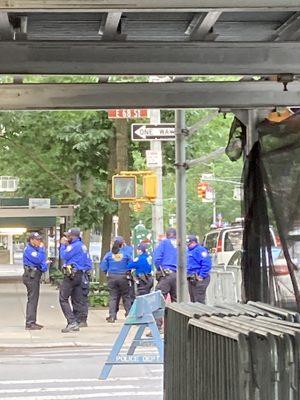 Beautiful Getting ready for the parade. 06/04/23