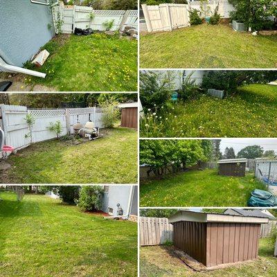 Weed removal, weed spraying, weekly/biweekly lawn mowing