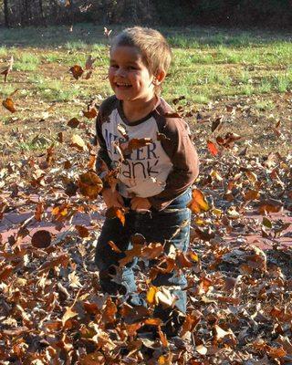 Fun in the leaves.