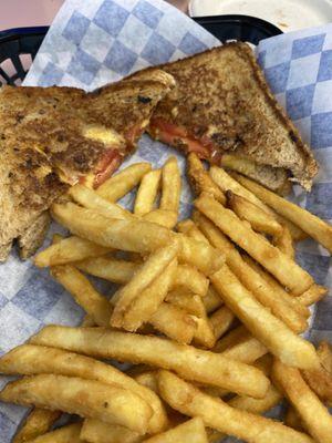 Grilled cheese, added tomato on wheat. Yum. Fries are good, have an extra crunchy coating. Not pictured: burger also good .