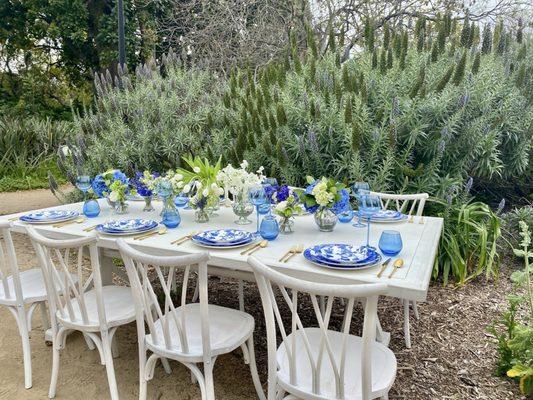 Lavender fields forever at Fullerton Arboretum.  Brunch??