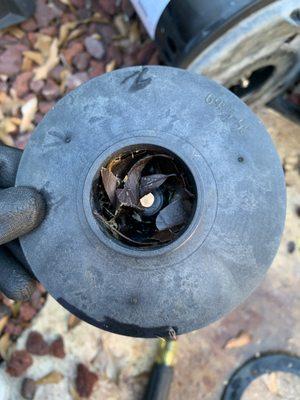 Clogged impeller