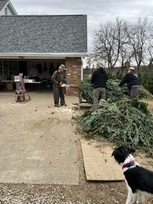 Expert trimming!