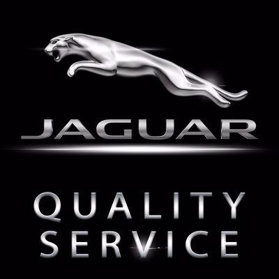 Professional Jaguar  Service