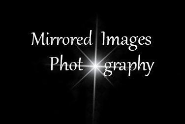 Mirrored Images Photography Logo/Watermark