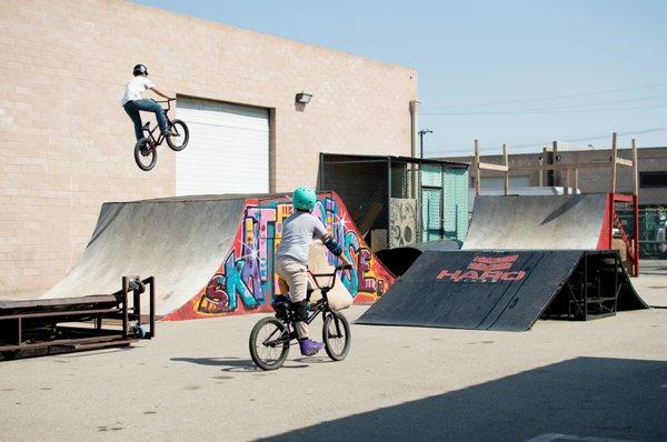 They have a neat little back patio area that has jumps more geared toward BMX riders