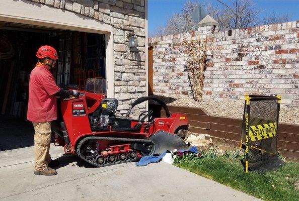 They really impressed us when it came to grinding out the old stump... job well done.