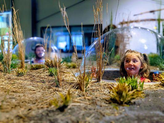 Jay C Hormel Nature Center is fun for families in Austin, Minnesota