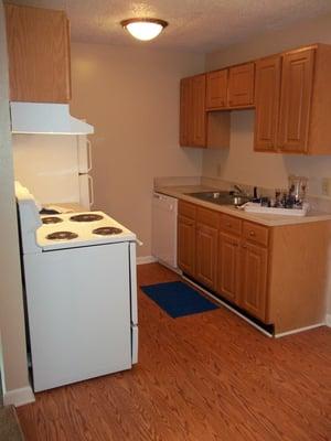 1 Bedroom Kitchen