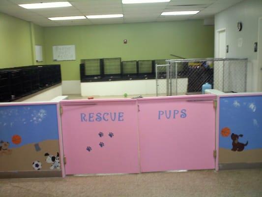 Puppy Room