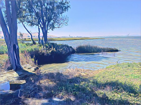 Bay Point Regional Shoreline