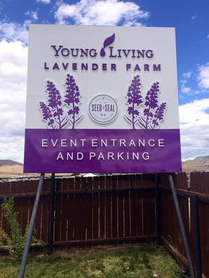 Have you ever been to the Young Living Lavender Farm?  It is quite the experience! Contact me for info. about YL Lavender Oil 530-515-6923