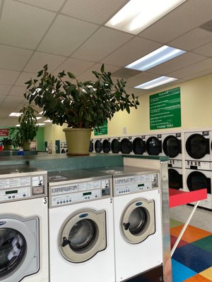 The Laundry Center