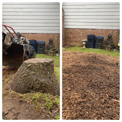 4-24-23 before and after.  Indian Land S.C.