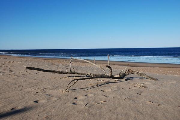 off of cranes beach