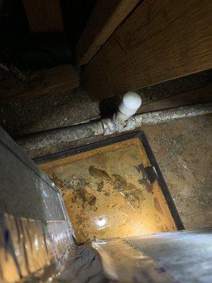 We also do ac leaks in attic