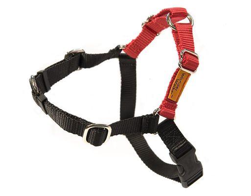 Wonder Walker Body Halter - No Pull Dog Harness.