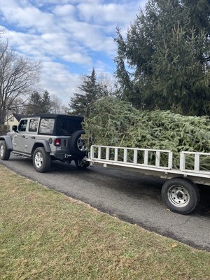 25 footer making its way to a new home!